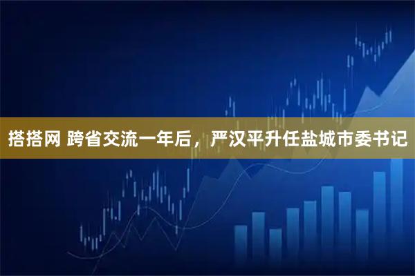 搭搭网 跨省交流一年后,严汉平升任盐城市委书记