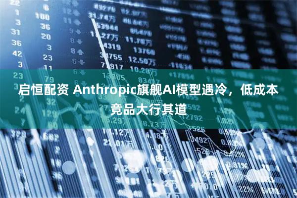 启恒配资 Anthropic旗舰AI模型遇冷，低成本竞品大行其道